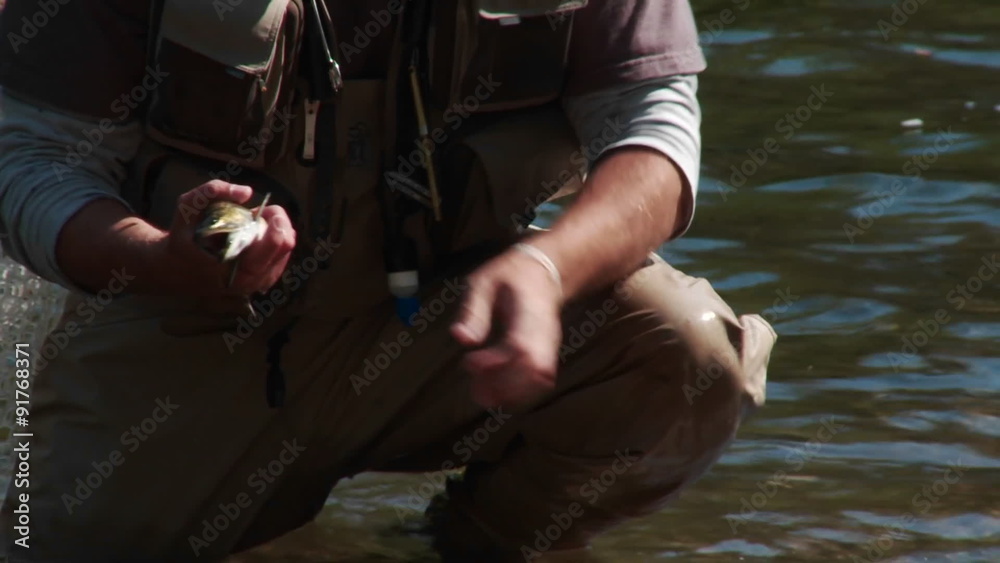 A fisherman practices catch and release. A fisherman practices catch and release.
