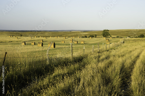 Landscape in Wyoming in the Summer.