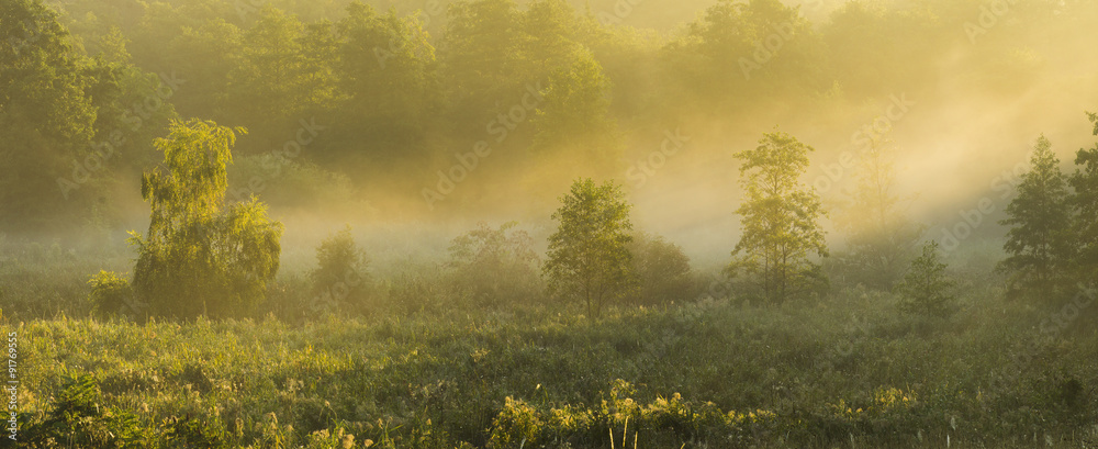 beautiful, misty morning over the valley - obrazy, fototapety, plakaty 