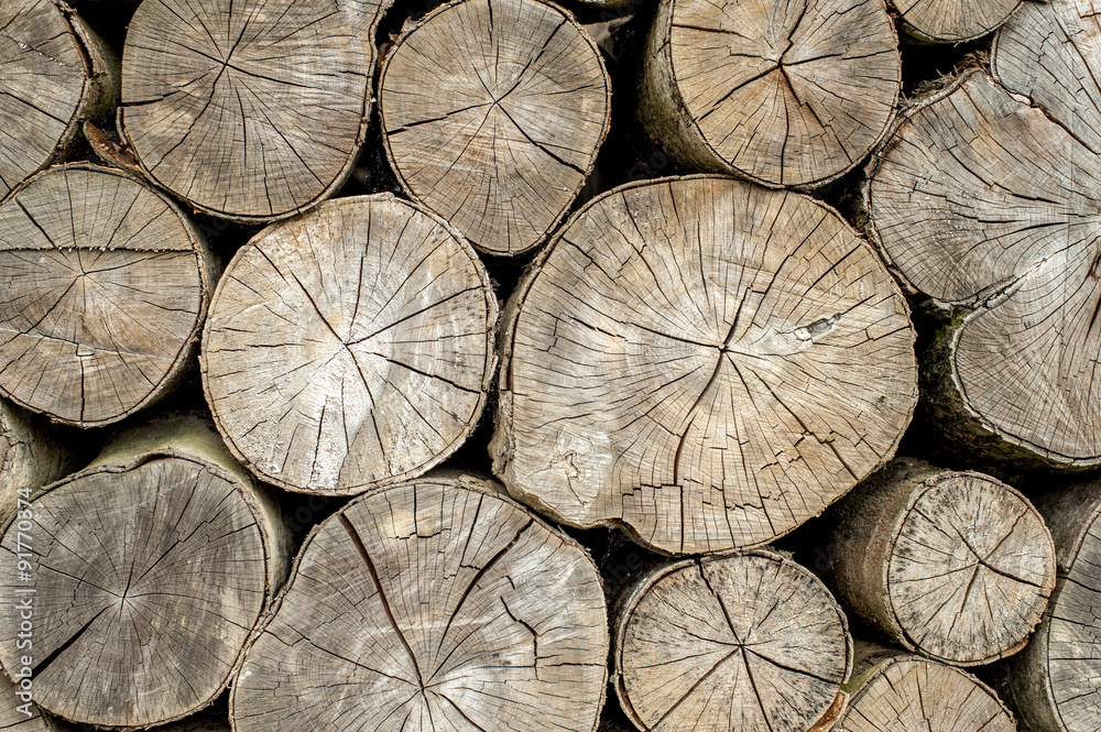 Fototapeta premium Wood texture background