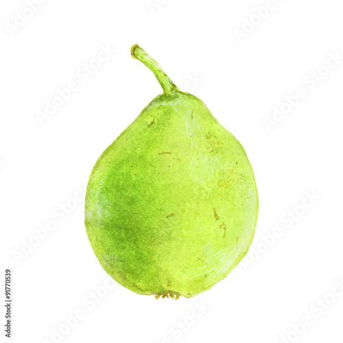 Obraz na płótnie Pear. Hand-drawn fruit. Real watercolor drawing. Vector w salonie