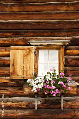 Blumenfenster auf der Alm