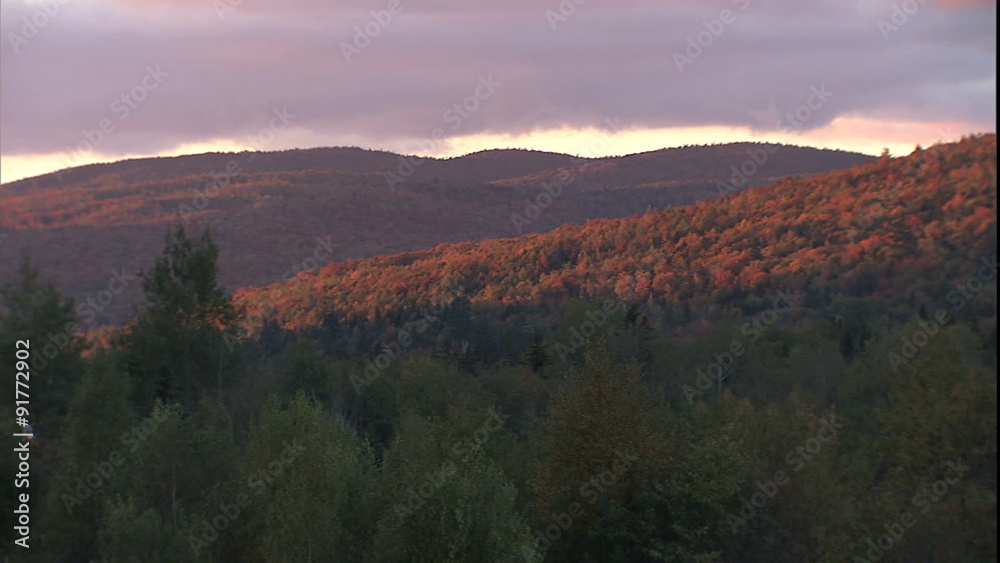 Colored foliage in foothills of Mt. Washington Colored foliage in foothills of Mt. Washington