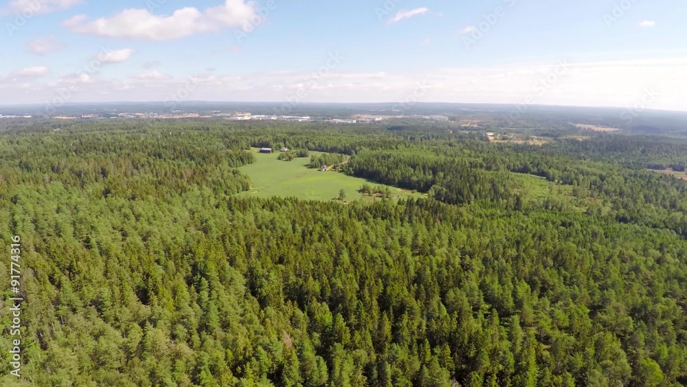 Flying high over the pine woods and farm Flying high over the pine woods and farm