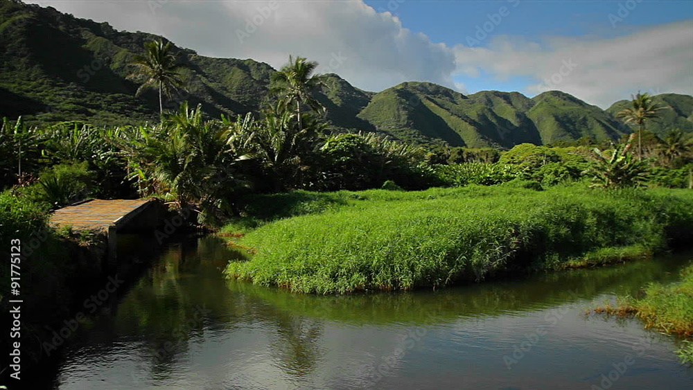 Pan across a Hawaiian jungle landscape with canyons and small lake. Pan across a Hawaiian jungle landscape with canyons and small lake.
