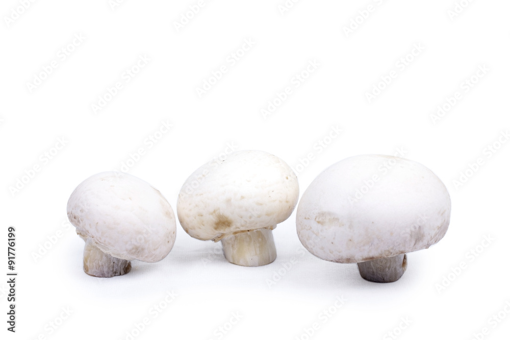 Champinons Champinons