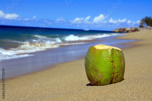 Coconut on sandy beach 