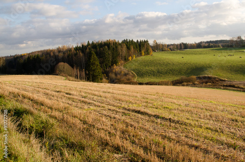 View of countryside  Sipoo  Southern Finland.