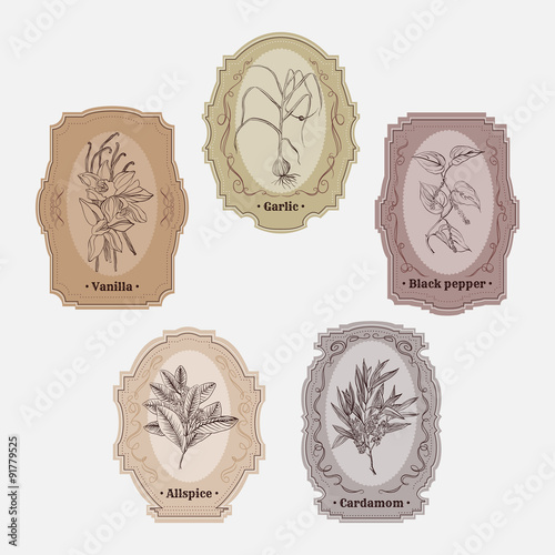 Collection of vintage storage labels with herbs and spices. garlic, black pepper, cardamom, allspice, vanilla. Retro hand drawn vector illustration