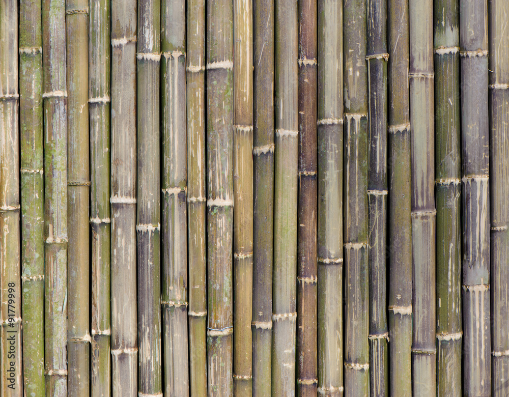 bamboo background bamboo background