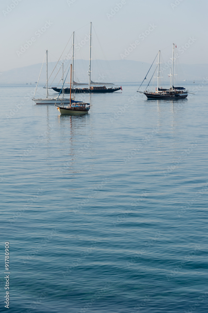 Moored boats