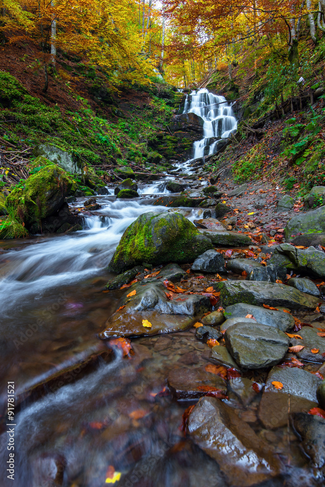Autumn landscape