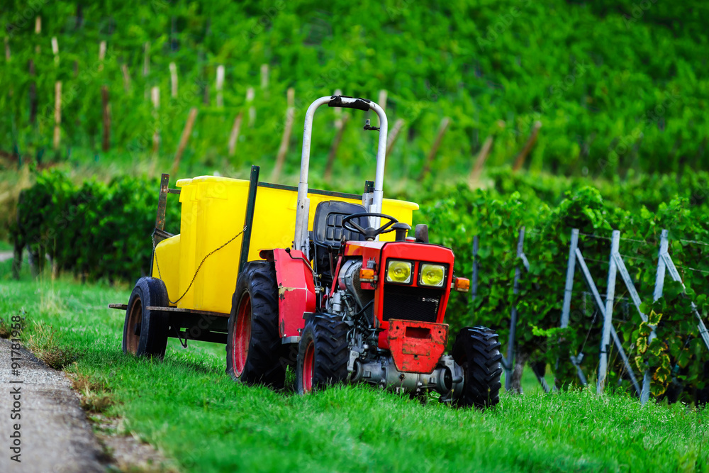 Obraz premium Tractor in vineyards while vendange in Alsace