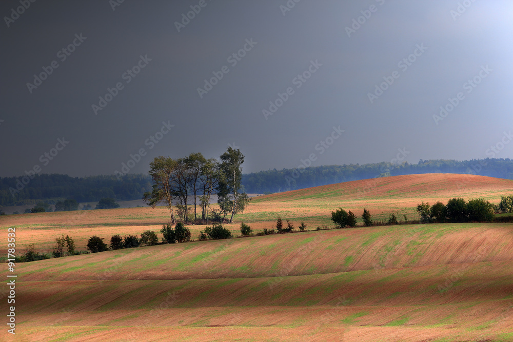 Obraz premium Piękno Warmińskich Pół