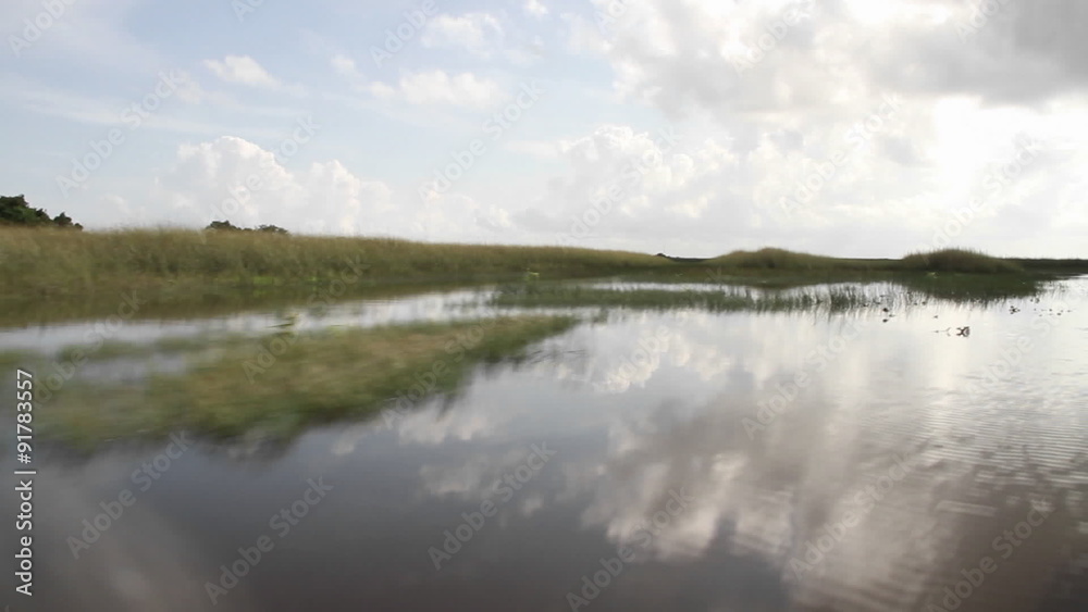 POV from an airboat driving through the Florida Everglades. POV from an airboat driving through the Florida Everglades.