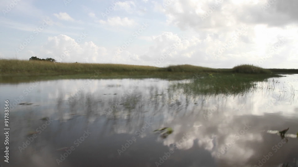 POV from an airboat driving through the Florida Everglades. POV from an airboat driving through the Florida Everglades.