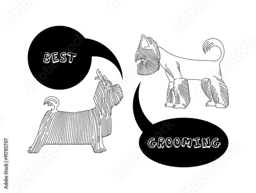 Bubble grooming 2