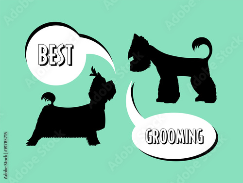 Bubble grooming 3