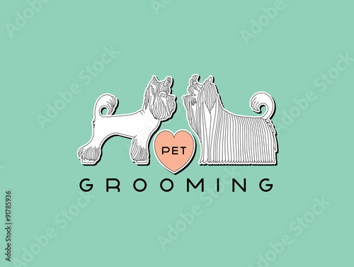 Pet grooming 2