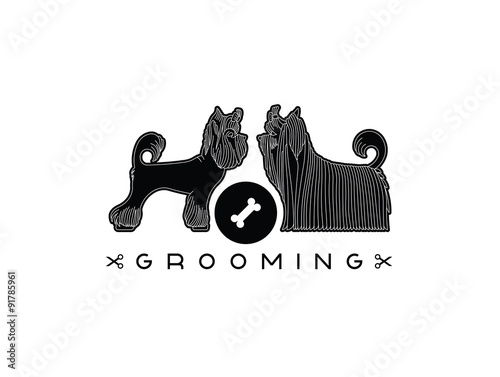 Pet grooming 5
