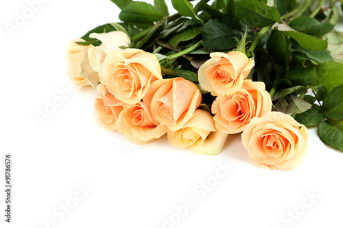 Bouquet of orange roses on white background