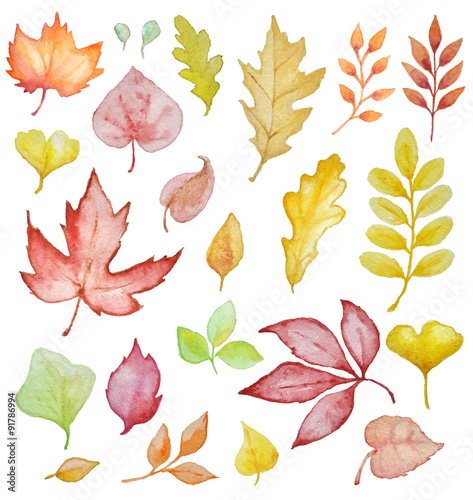 Watercolor leaves