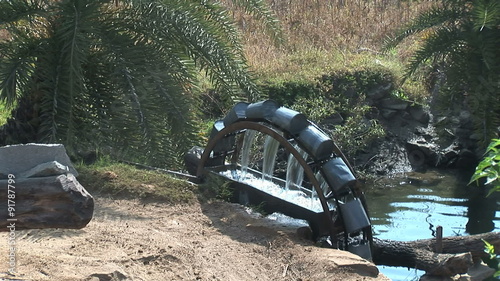 CU Water wheel, cow driver & cattle