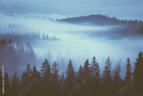 Fog on the mountain slopes