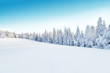 Winter snowy landscape