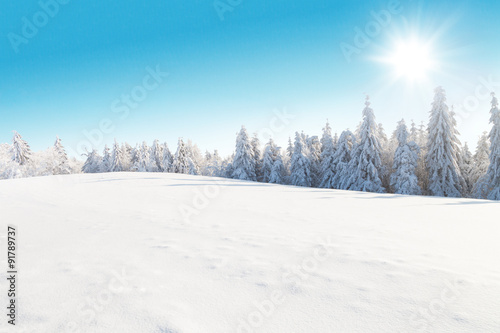 Winter snowy landscape