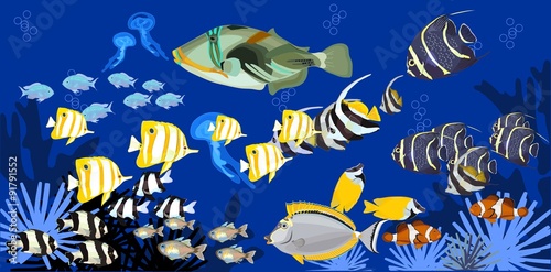 background with marine tropical fish