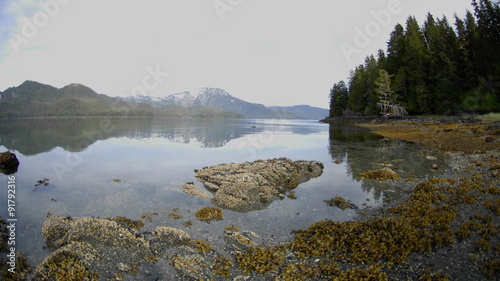 Fast time lapse of the tide retreating on Pond Island next to Kelp Bay off of Baranof Island in Southeast Alaska. photo