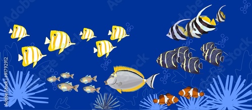 background with marine tropical fish