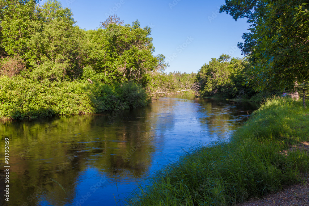 green trees and blue river in summer day green trees and blue river in summer day