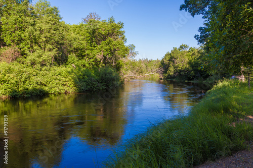green trees and blue river in summer day