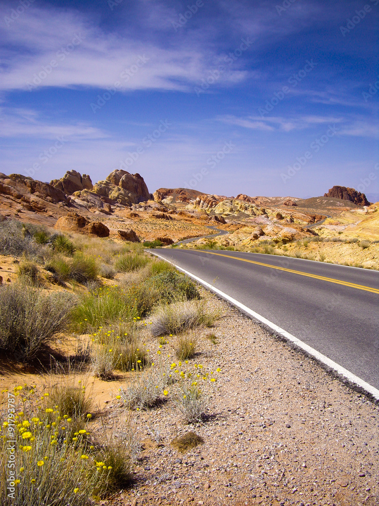 Long winding road through Valley of Fire State Park