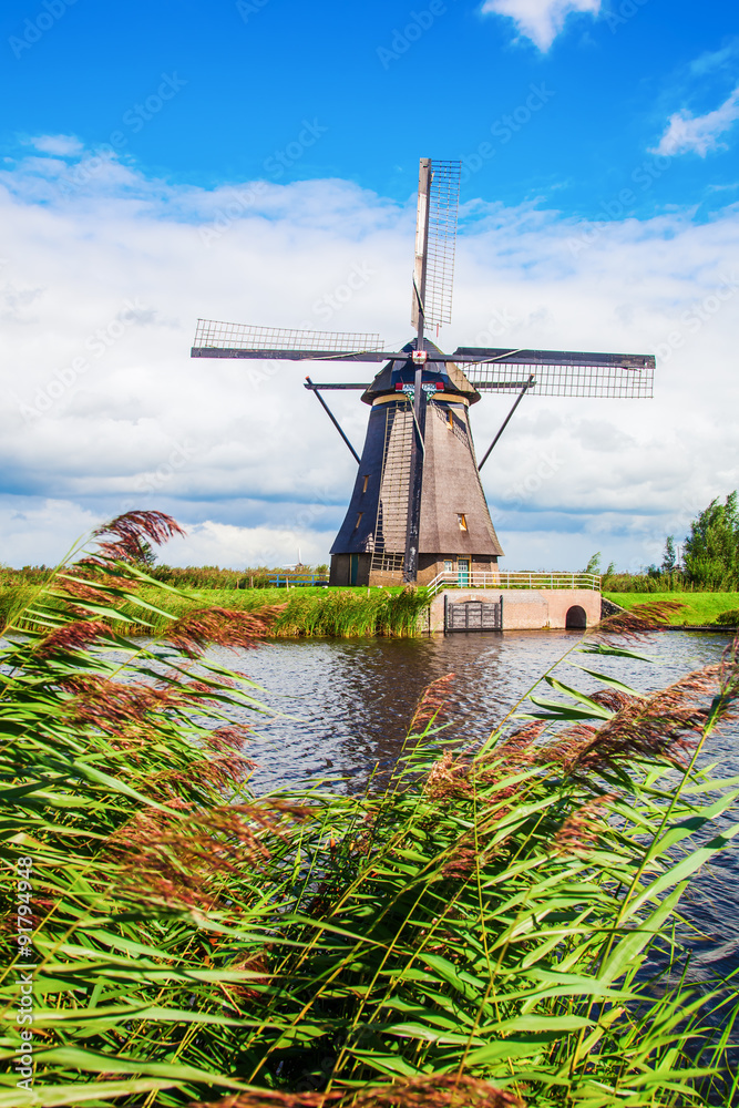 Fototapeta premium Windmühlen in Kinderdijk, Niederlande