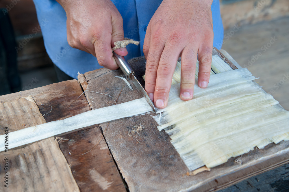 Artisan of the papyrus paper in Syracuse superimposing perpendicularly thin strips obtained from the stem of the plant