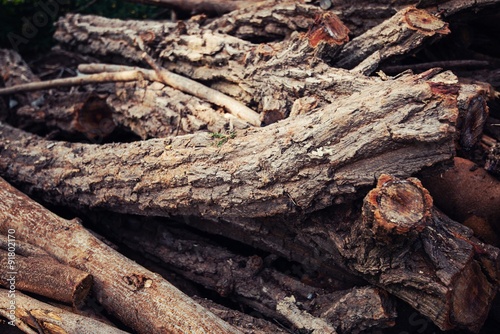 Brown forest hardwood firewood in order to have beautiful wood.