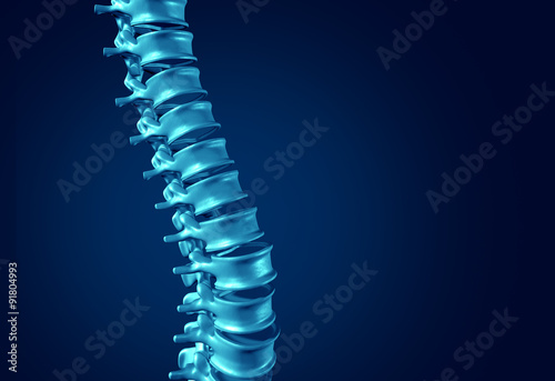 Human Spine Concept photo