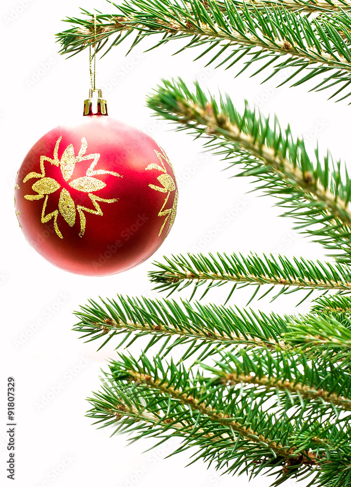 The branch of spruce with a ball on a white background The branch of spruce with a ball on a white background