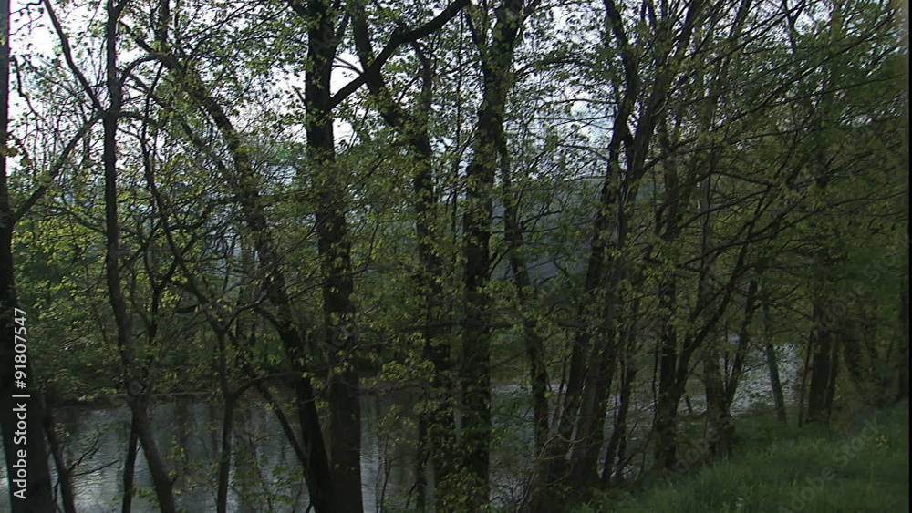 Stream sun reflection