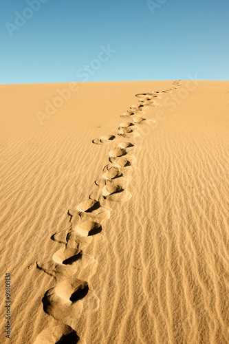 Footprints on a Dune