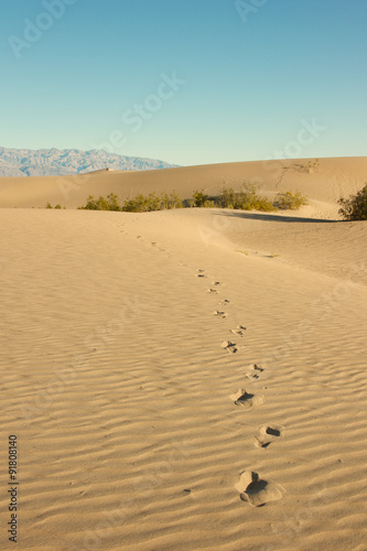 Footprints in Desert Sand