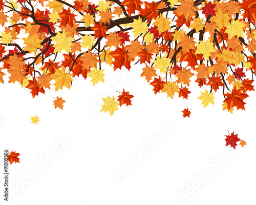 Autumn Leaves  Frame