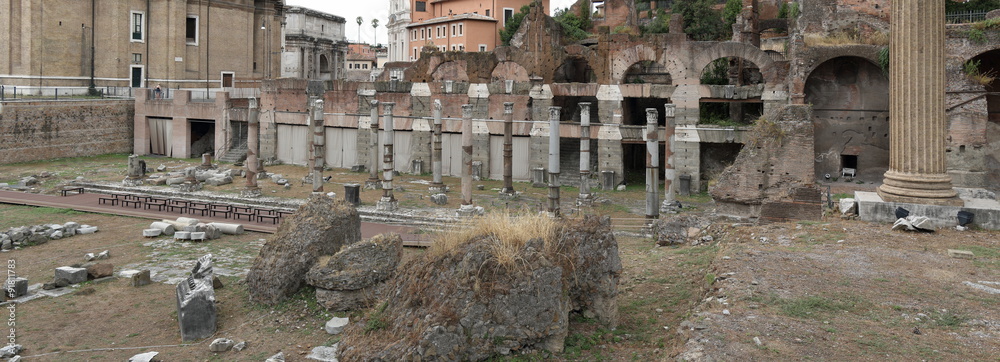 View of ruins near church of Santi Luca e Martina