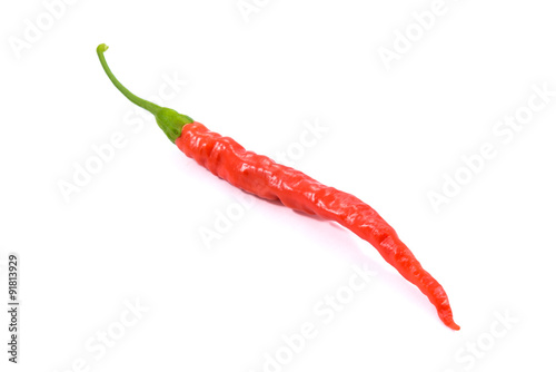 Red chili hot pepper on white background