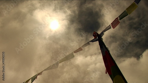 Bird standing atop prayer flags