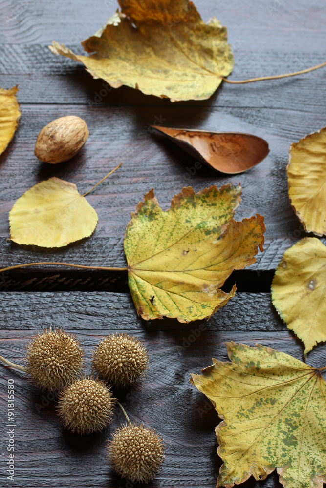 yellow leaves on wooden background yellow leaves on wooden background