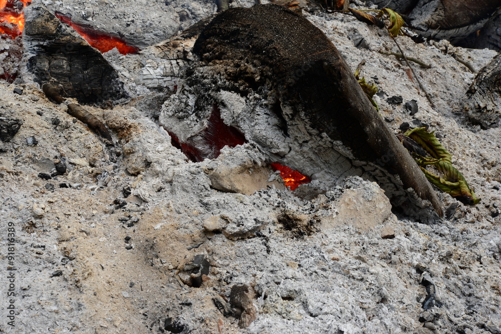 The ashes from the fire slowly burning logs linden trees The ashes from the fire slowly burning logs linden trees